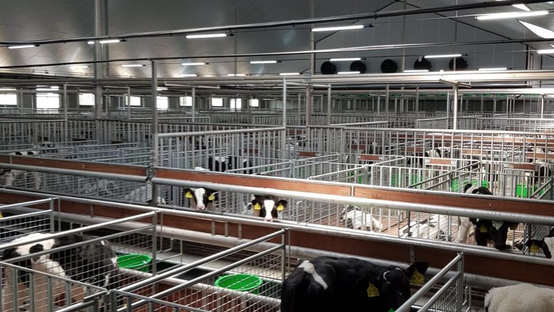 电商代运营：揭秘成功案例背后的收费标准**