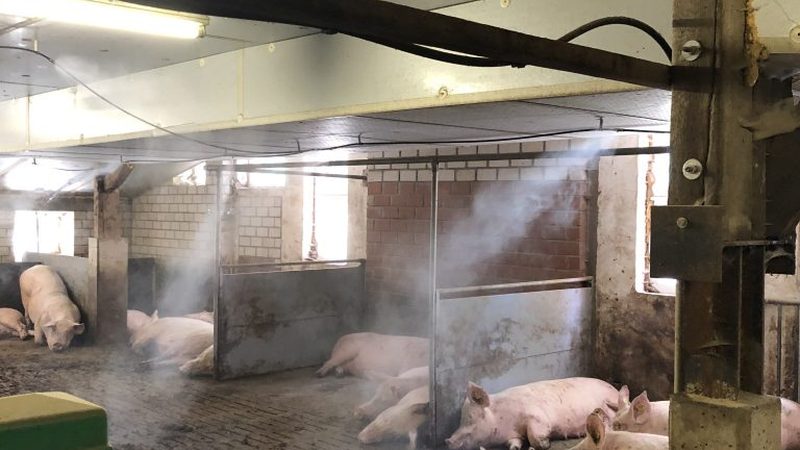 天猫店铺装修全包服务：揭秘其背后的价值与误区